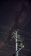 275317
