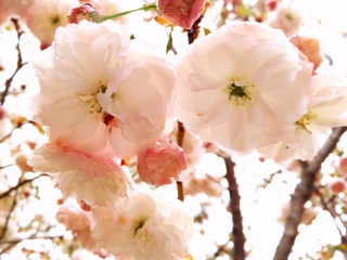 27A07F77-70B1-4C26-8779-F18A7BDACE42/L0/001