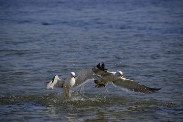 nEO_IMG__DSC1228.jpg