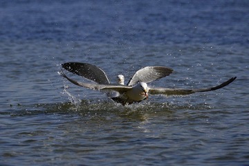 nEO_IMG__DSC1234-2.jpg