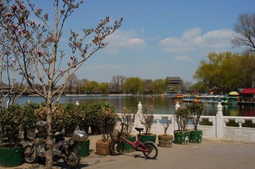 DSC00416.JPG