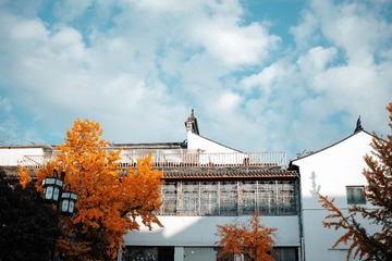 1663851