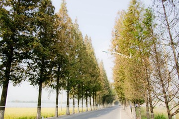 IMGP1032.jpg