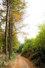 IMGP1084.jpg