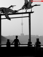 P1000254