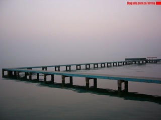P1100229