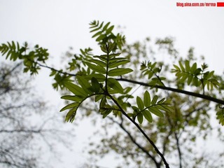P1360089