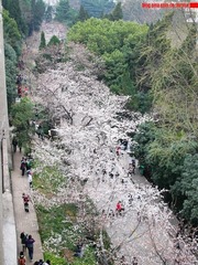 P1360095