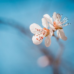 1890299