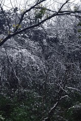 013B6545-B7F4-4B62-A05E-9459BA25A792/L0/001