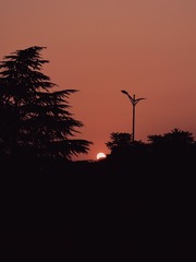 1D5FD121-B346-4260-B683-C2A0C924DFE0/L0/001