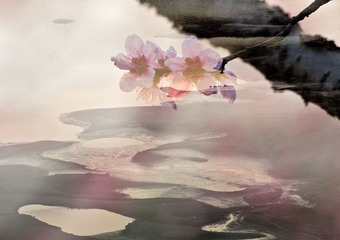 桃花印.jpg