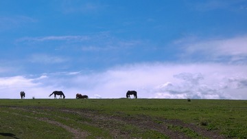 P1040435