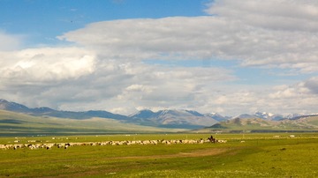 P1040757