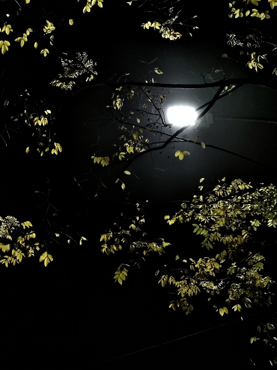 凤凰古城冷冷的夜