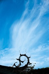 _DSC8777.jpg