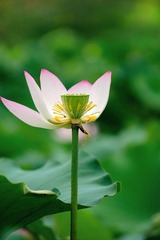 “_DSC8569”为智能对象-1.jpg