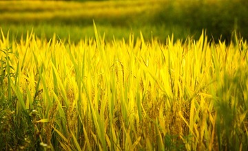 _DSC9770-编辑.jpg