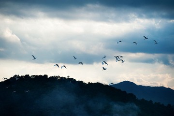 _DSC9850.jpg