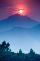 _DSC0206-编辑-编辑.jpg