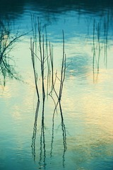 _DSC0554-编辑.jpg