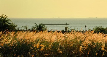 “_DSC1665”为智能对象-1.jpg