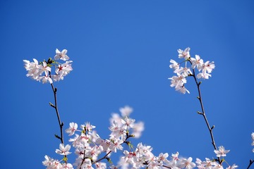 30D98E88-54A3-4569-B134-F6BCB291CFAE/L0/001