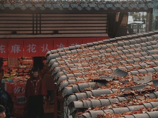 1000041359