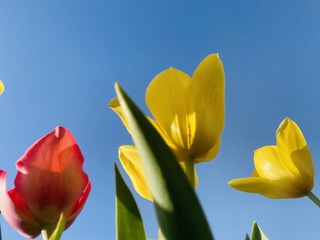 FFDE5809-3786-4B38-9A98-162665BD98CF/L0/001