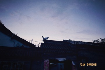 46759806-B9B5-47A8-8B54-9C7BD64DB76A/L0/001