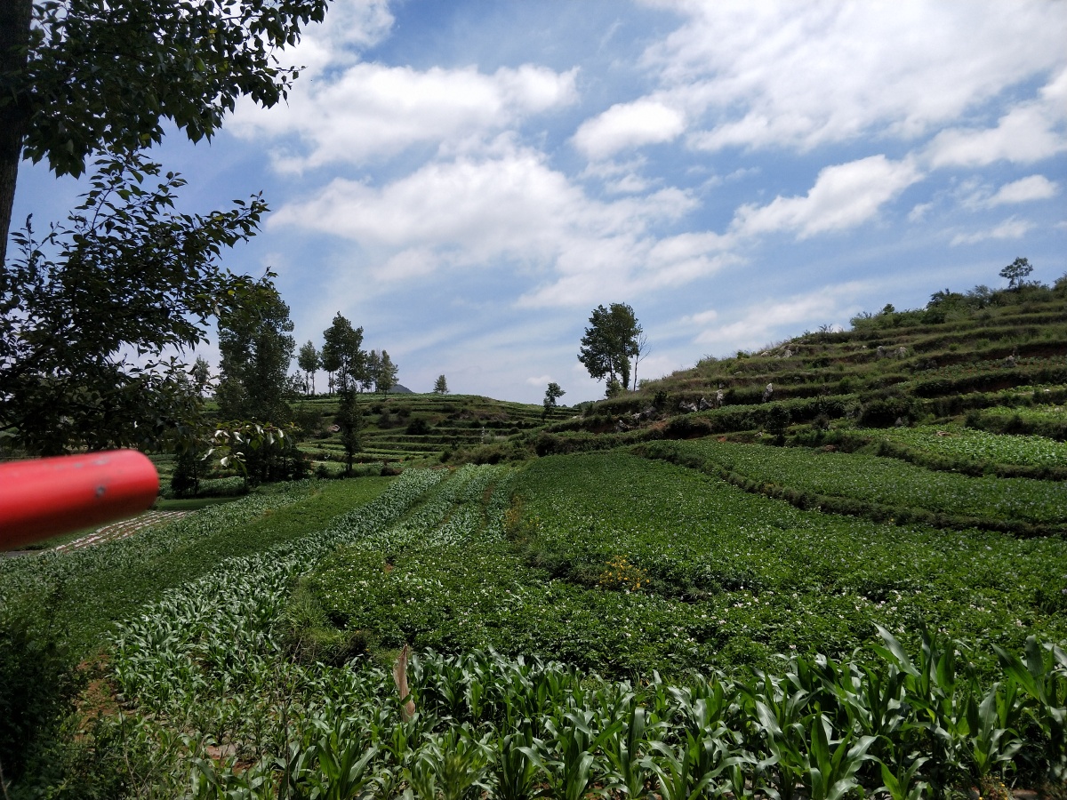 贵州威宁梯田地风光2021年6月14日贵州省毕节市威宁自治县小海镇梯田