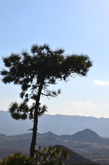DSC_1027_副