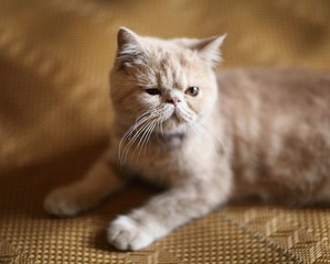 IMG_2390.JPG