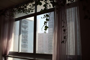 IMG_7559.JPG