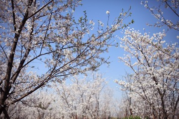 IMG_9822.JPG