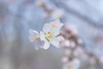 1403996