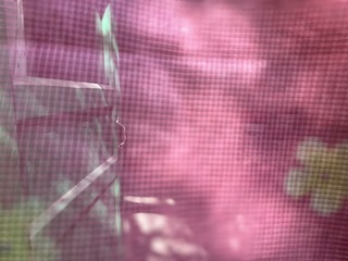 2F4F0E20-C80A-4F4B-8965-0399EE9B06E5/L0/001