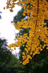3F0425AE-302D-496B-8A0D-598298BC0F25/L0/001
