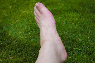 IMGP1600.JPG