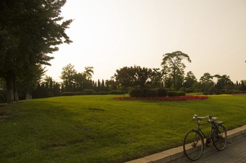 IMGP2096.JPG
