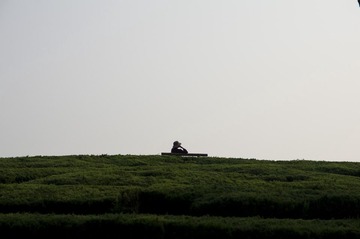 IMGP2126.JPG