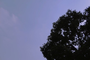 D6B20A1E-AB92-4646-895F-6CFDF11CED42/L0/001