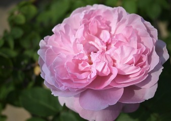 BD237EBB-59B4-46A3-B97A-0F3F7AB0F481/L0/001