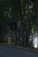 DD88F1E5-76D2-4878-B0AE-480DF355CB04/L0/001