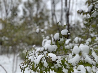 7641DC72-AAC4-4819-B183-808BD3D460E4/L0/001