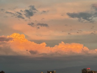 C2D03D1D-E333-489A-85B7-4FA992B5D74C/L0/001