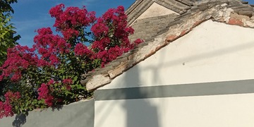 966480