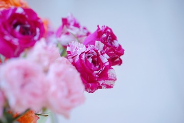 5A3C3CB2-43A0-4907-8DBC-7783039F14D9/L0/001