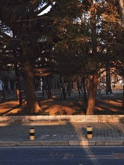 54D5453C-8F4E-4B68-B65D-15AB2A779BDC/L0/001
