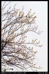 PX_54195.jpg